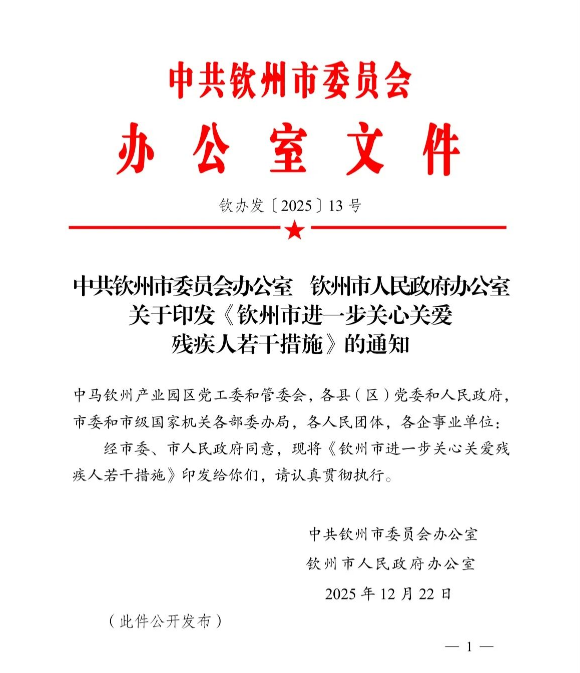 钦州市出台关心关爱残疾人若干措施